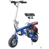 Gas mini bike
