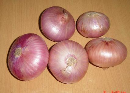 Red Onion