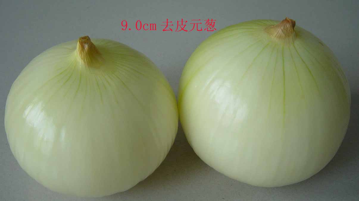 Yellow Onion