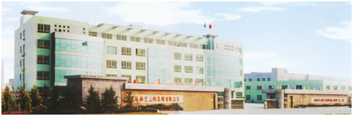 Jiangsu Linzhi Shanyang Group Co., Ltd