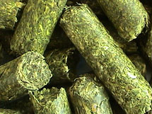alfalfa hay products