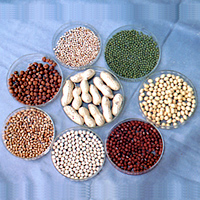 Shandong Luyan Crop Seed Co., Ltd.
