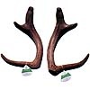 Sawn-Off Sika Antler Three Branches