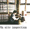 Inspection & Services