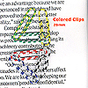 Colored Clips - U28-7