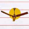 Summer Collection Segment Ceiling Fans