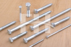 Hex lag screw/wood screw(DIN571)