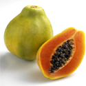 We offer Red/ Yellow Papaya Fruit Pulp of best quality made from selected variety of ripened Red / Golden-Yellow papayas. Papaya fruit has a thin greenish skin and Red/ Yellow colored flesh free of bruising and frost-damage.