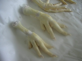 chicken feet and paws