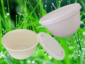 lunch box, bowl,cutlery,cup,production line for biodegradable tableware