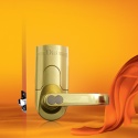 Biometric/Fingerprint door locks &keypad locks, electronic access controller/door locks #6600-86