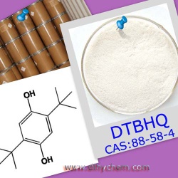 2,5-Di-Tert-Butylhydroquinone (DTBHQ)