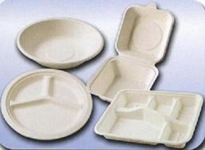 100% Biodegradable Bagasse Tableware
