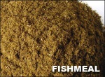 fishmeal