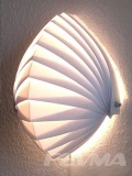 shell lamp