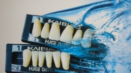 acrylic resin teeth