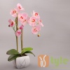 Artificial Flower (ISAF-SI001-P0501)