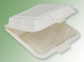Biodegradable Tableware 