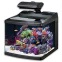 Oceanic BioCube HQI 29 Gallon Aquarium