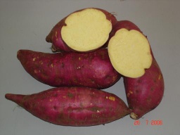Japanese sweet potato