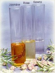 Essential oils - SEI-SHIVA