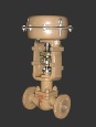 DLS small-port single-seated control valves