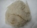 Cashmere Fibre, Degreased Cashmere, White Cashmere, Merino Wool, Angola Hair, Camel Hair - RM25C