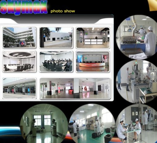 Zhongshan Skymax Display Technologies Co.,LTD.