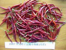 Yunnan chilli