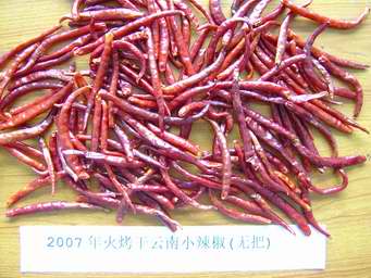 Yanshan Tonghe chilli co.,ltd