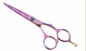 color scissors pink
