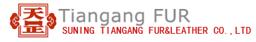 Suning Tiangang Fur & Leather Co., Ltd.