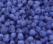 IQF Wild Blueberry