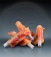 dried cutted chicken with roll - IP-A1001