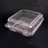 Disposable Plastic Food Container(Strawberry Box) 