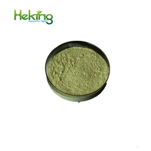 Echinacea extract powder 2% 4% Chicoric acid