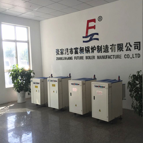 Zhangjiagang Future Boiler Manufacture Co., Ltd
