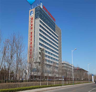 Weifang Binhai Group Work Win Supply Chain Co., Ltd.