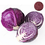 Red Cabbage Colour is a pigment obtained from red cabbage leaves. Its principal component is anthocyanin. It is soluble in water and exhibits very bright red to purplish-red shade when used in acidic foods.