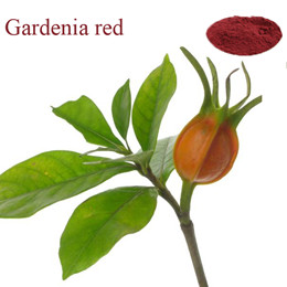 Gardenia Red is a red to reddish-purple pigment obtained by enzyme treating on a mixture of ester hydrolysates of iridoid compounds contained in gardenia fruits and protein decomposed substances. It is soluble in water and relatively stable to heat, light and pH variation.