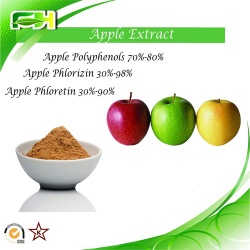 Apple Extract polyphenols