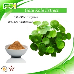 Gotu Kola Extract 10%-80% Triterpenes.10%-40% Asiaticoside