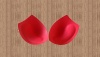 modern fashion bra pads