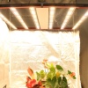 AGLEX 700W LED Grow Light Bar for Indoor Plants