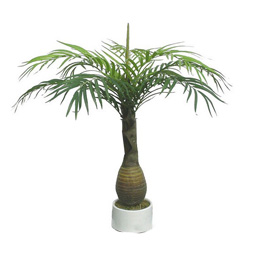 artifiical coconut bottle tree