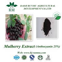 mulberry anthocyanidins 25%