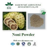 Noni extract powder 4:1