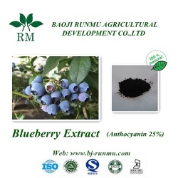 Blueberry extract anthocyanidin 5%