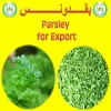 Dried Parsley for export - 091099