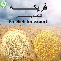 Dried Freekeh for export